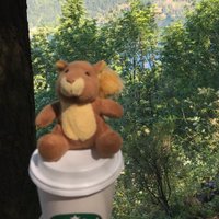 Dave Vrolyk (@davevrolyk) 's Twitter Profile Photo