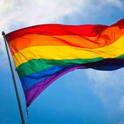 The Gender-Sexuality Alliance of Canisius College! Be sure to follow us for updates on what we have going on! Much love! ☺💖🌈