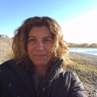 Angeliki Pantazi (@apantaz) 's Twitter Profile