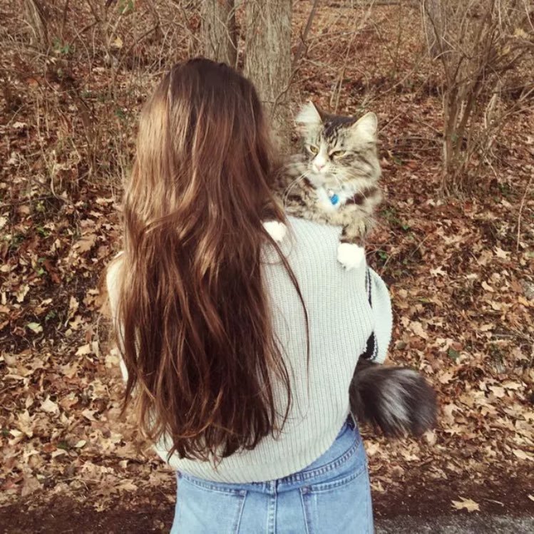 chrissyzittell's profile picture. 