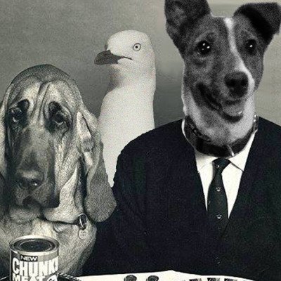 I don't know what I'm doing.