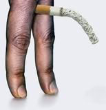hatesmokinghate's profile picture. I hate smoking!