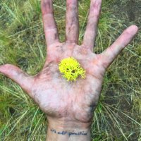 David Patty (@david_patty) 's Twitter Profile