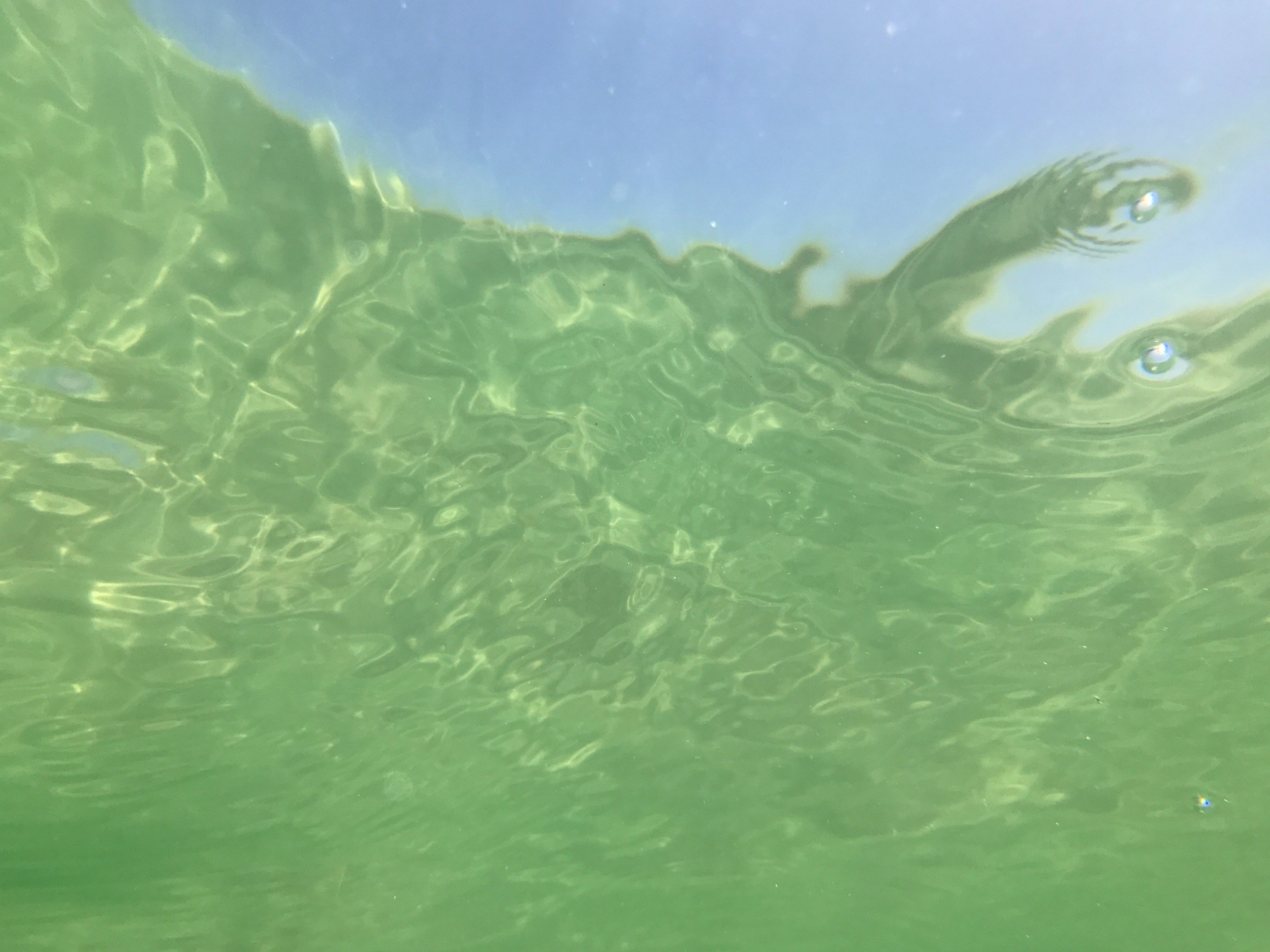 Ahandastands's profile picture. 