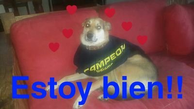 JorgeCo163's profile picture. Soñador y misionero. La vida es sólo un cúmulo de momentos 🦄🌈 anticorrupción y si vas a hacer chistes, mejor que sean buenos.