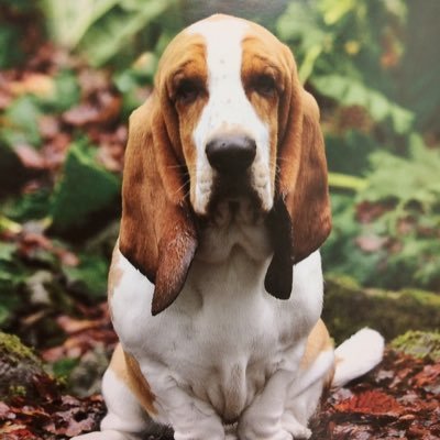 1KenTweet's profile picture. Plain and simple!