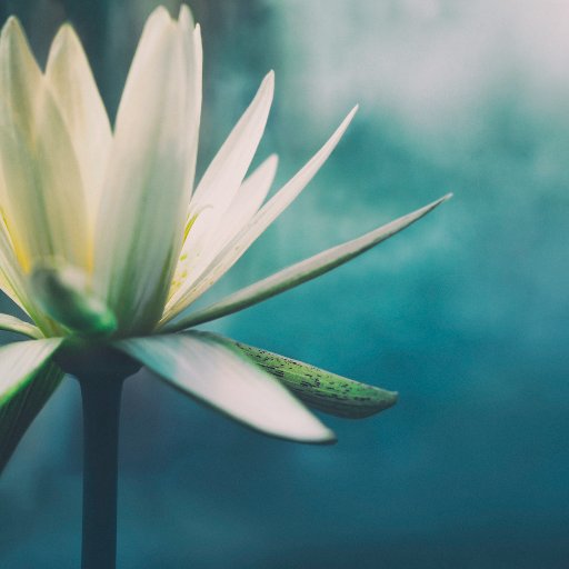 mindfulmusicped's profile picture. A resource for music educators who seek to develop a balanced awareness of the mental and physical aspects of teaching music.