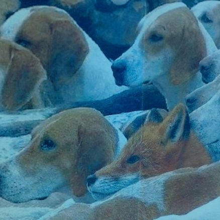 Lican- Kaan. Dilan ve Aleyna nın babası Bircanın kocası benimle değil hepimizin paylaşacak tek şey ölümdür unun için ayrı gayrı yok herkes fakir zengin tadacak