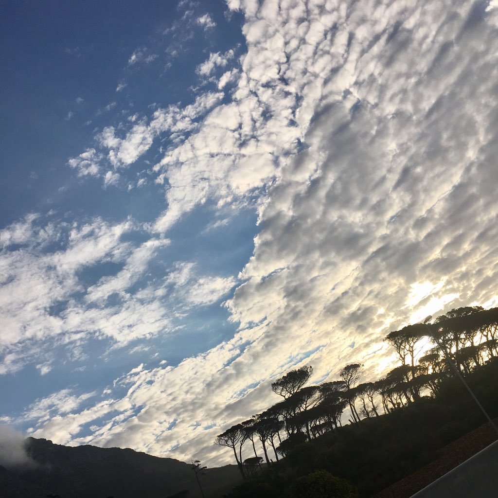 sowishiwere's profile picture. 