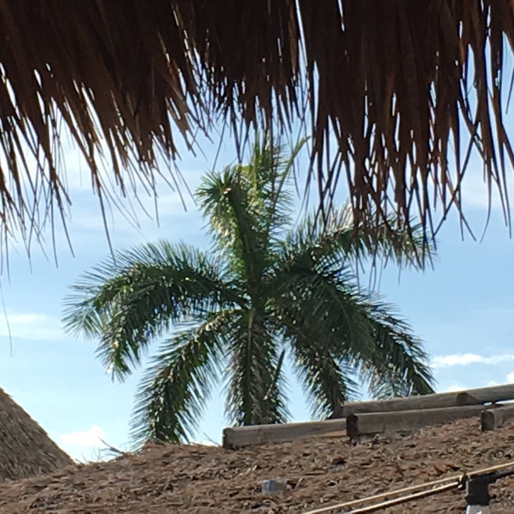 mary_Mack5's profile picture. 