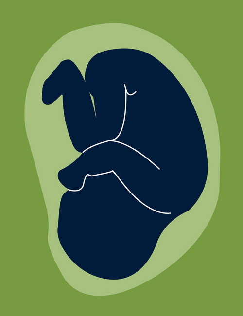 Birthtalk.org
