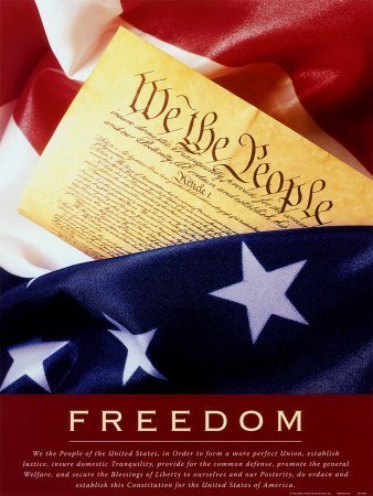 1freenation's profile picture. This is a great online place to purchase conservative, political items and gifts for the true American.