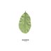 BASWOD (@baswod1) Twitter profile photo BASWOD (@baswod1) Twitter profile photo