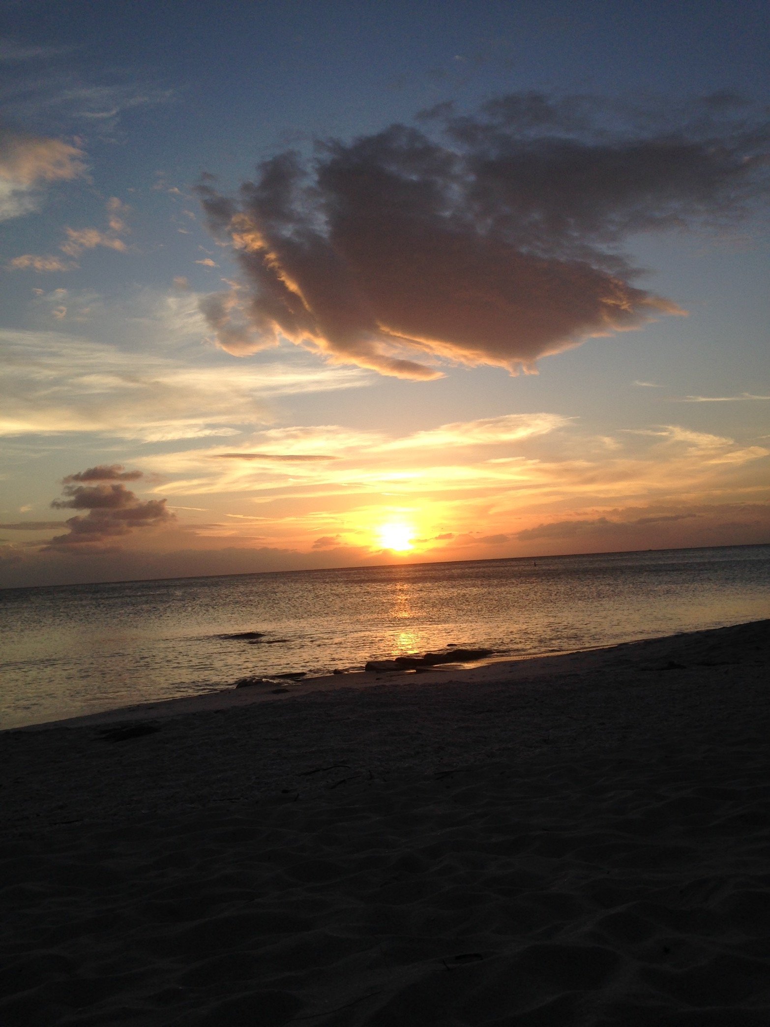 SaraPelinski's profile picture. 