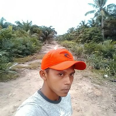 UdinSap57099771's profile picture. 