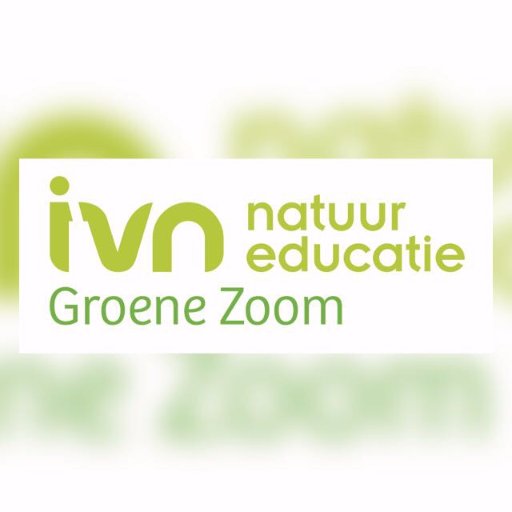 ivngroenezoom Profile Picture