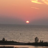 Scott Hankamp (@scotthankamp) 's Twitter Profile