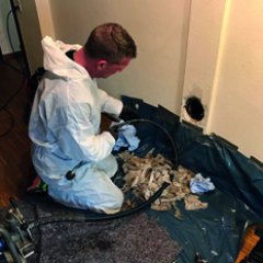 STAReinigung's profile picture. Kanal.-Rohrreinigung