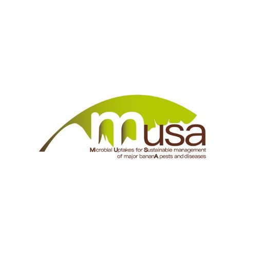 H2020 Project MUSA
