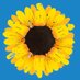 CALENDAR GIRLS the award winning musical (@thegirlsmusical) Twitter profile photo CALENDAR GIRLS the award winning musical (@thegirlsmusical) Twitter profile photo