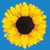 CALENDAR GIRLS the award winning musical (@thegirlsmusical) Twitter profile photo