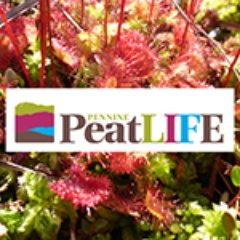 Pennine PeatLIFE is a 4-year peatland restoration project run in partnership by the @NorthPennAONB, @YorksWildlife & @ForestofBowland.