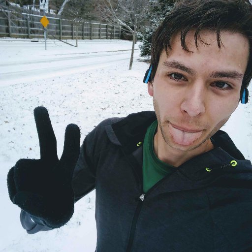 codefox421's profile picture. voider of warranties | he/him