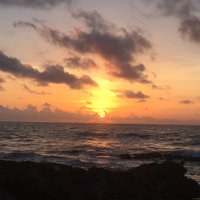 Lisa Horne (@lisahor74041311) 's Twitter Profile