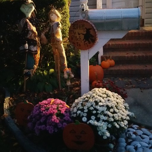 CompassionBoot's profile picture. A journey in motherhood and caregiving.