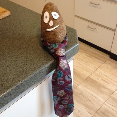 integrante's profile picture. 