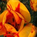 Aron Bennett - @hrt4bab - Twitter