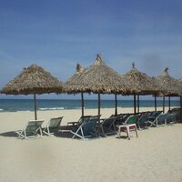 Aoki   Midori (@junemidori) 's Twitter Profile