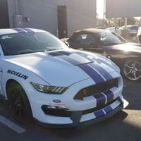 Speed Phenom (@speedphenom) 's Twitter Profile