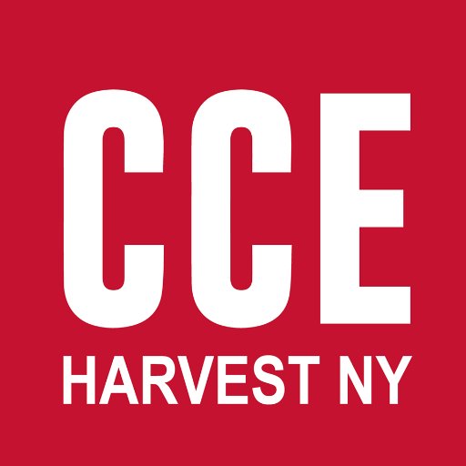Cornell Cooperative Extension statewide ag team charged with increasing agricultural investments, profitability and sustainability