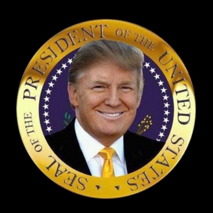 sandralynnphill's profile picture. 