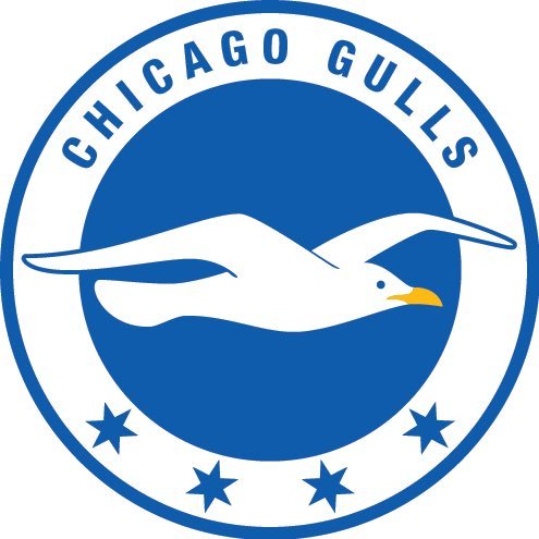 ChicagoSeagulls Profile Picture