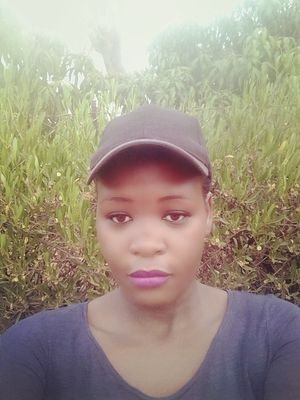 gosego411820821's profile picture. 