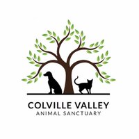 Colville Valley Animal Sanctuary(@CVA_Sanctuary) 's Twitter Profile Photo