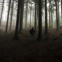 Conor Lynch (@conorlynch5) 's Twitter Profile