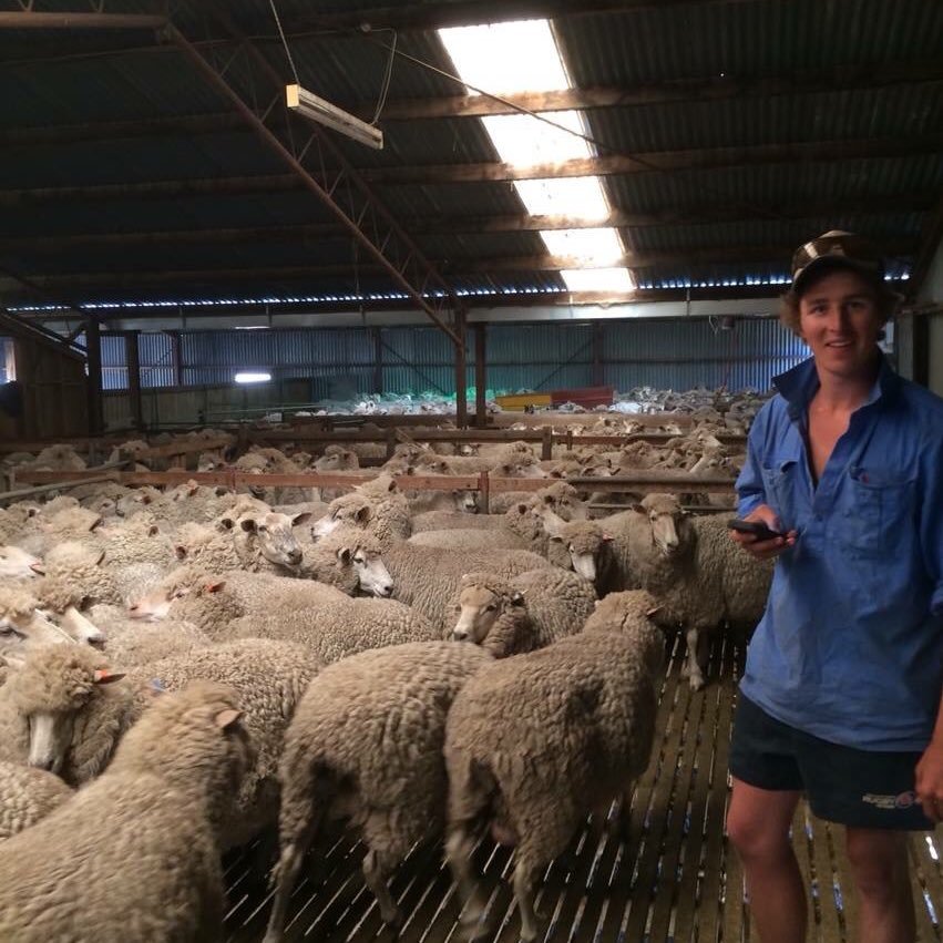 Passionate about Rural Aus | People | Agriculture. Founder - @humans_of_ag| Views are mine