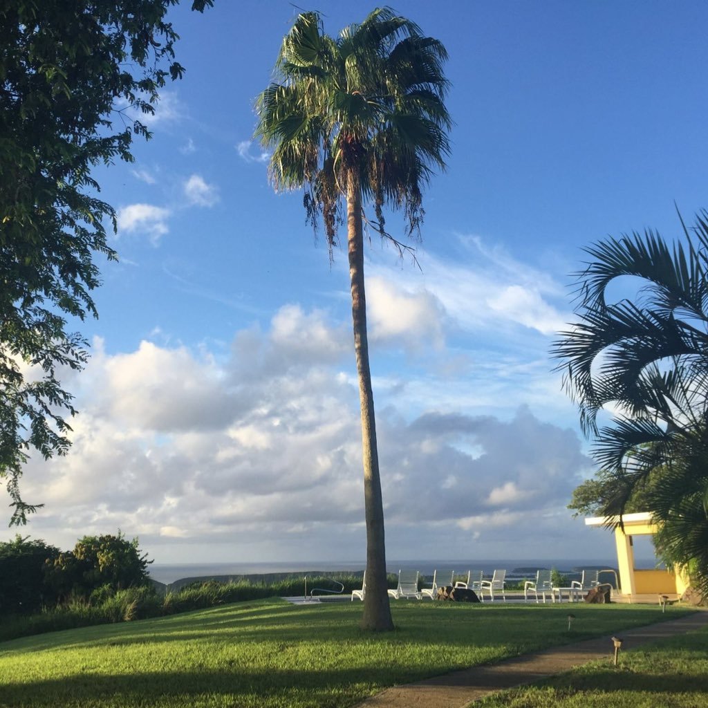 SarahBowmanVMD's profile picture. CityPaws Animal Hospital owner and veterinarian, wife, mom and sister