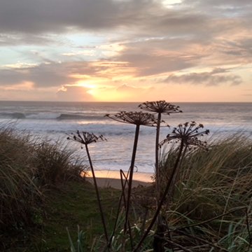 trosenquist29's profile picture. 