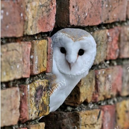 Kerby33's profile picture. 