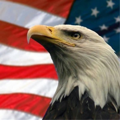 Love America and make it Great.  I was banned by Twitter for a couple years !  I am Back with a vengeance.