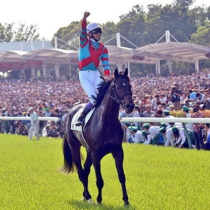 競馬大好き！馬大好き！永遠にキズナの大ファンです。競馬場では写真がメインです。競馬好きの方、是非仲良くして下さい/去年からFamBam入会しました！famっ子さんも是非宜しくお願い致します／愛息子のダックス蓮。2020.0501虹の橋を渡りました。愛娘のダックスすず、心臓病と闘っています。