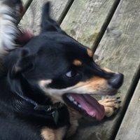 M_timm_ (@m_timm_) 's Twitter Profile