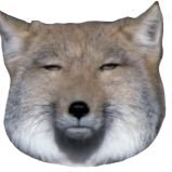 日課は散歩。身の回りのいつものこと見たもの作ったもの頂いたもの。小言。あまりでかけませんがお外はいいね♪