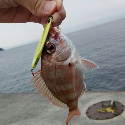 RVevDH5vH8y5oEv's profile picture. 福岡で海釣りしてます
ぜんぜん釣れないですけど相島、新宮などでショアジギングしてます笑
釣り情報を交換などできたら良いなと思っています
よろしくお願いしま～す！