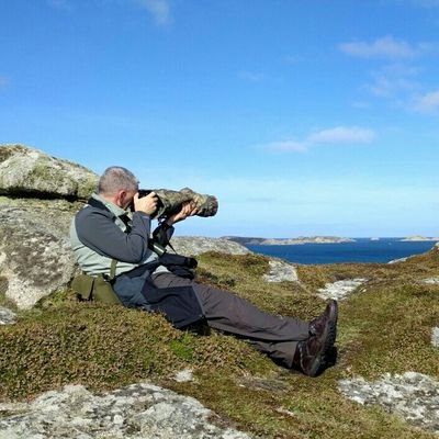 Life Long Birder/Photographer. Got Zino's Petrel on my list 30/07/20 on a Scillies Pelagic.
Often found wandering around Summer Leys. All photos my own. #CFC