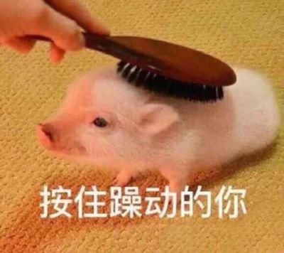 YourCostar's profile picture. 